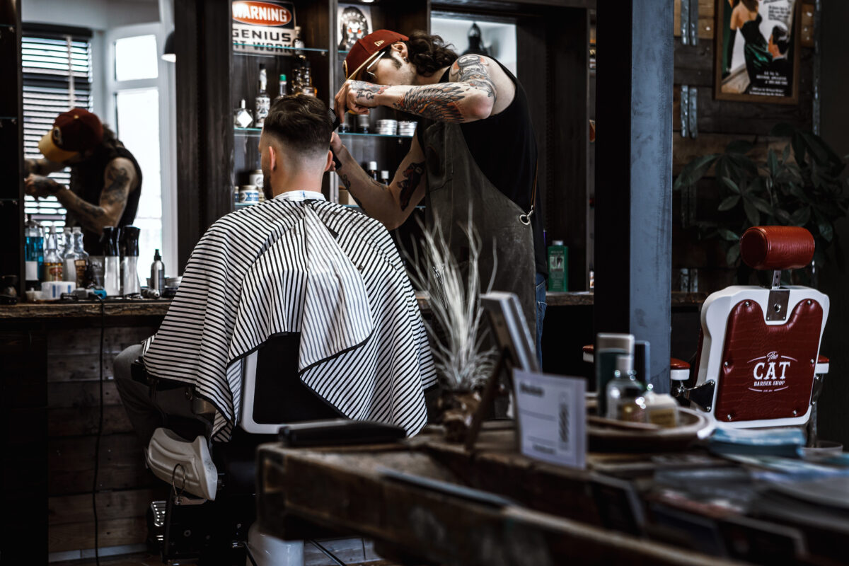 The Cat by Felix Heck